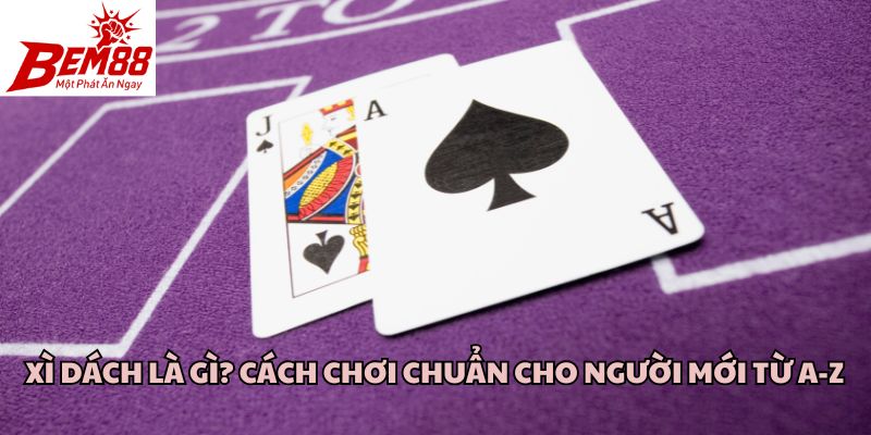 Xì Dách Là Gì? Cách Chơi Chuẩn Cho Người Mới Từ A-Z